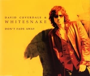Don't Fade Away