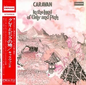 In The Land Of Grey And Pink