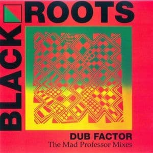 Dub Factor 1 The Mad Professor Mixes