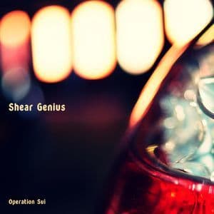 Shear Genius (2018) Flac