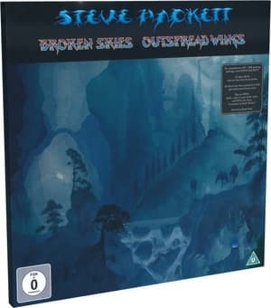 Broken Skies Outspread Wings