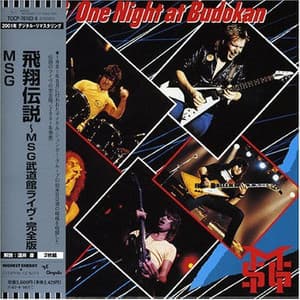 One Night At Budokan
