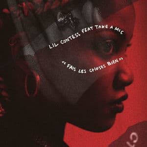 Fais Les Choses Bien (feat. Take A Mic)