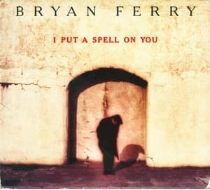 I Put A Spell On You