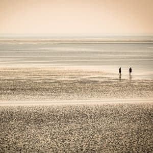 This Tide Will Bring You Home