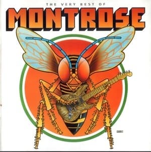 The Very Best Of Montrose