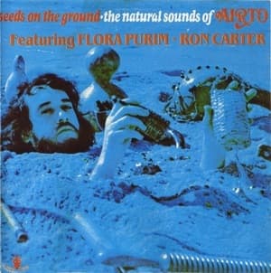 Seeds On The Ground - The Natural Sounds Of Airto