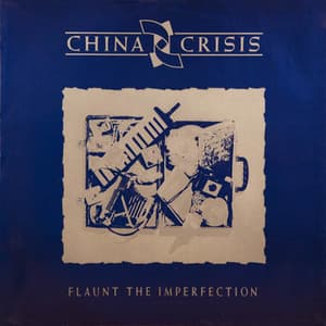 Flaunt The Imperfection