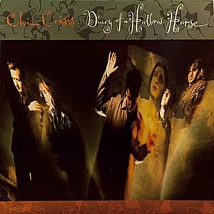 Diary Of A Hollow Horse