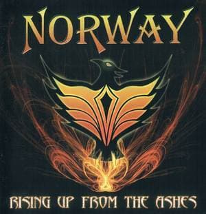 Rising Up From The Ashes