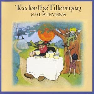 Tea For The Tillerman
