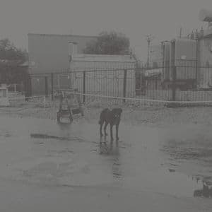 After Its Own Death  Walking In A Spiral Towards The House [hi-Res]