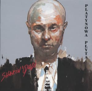 Platynowa Plyta (2006, Irek Dudek - Anthology 1976-2006, CD6)