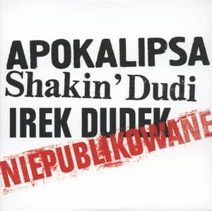 Niepublikowane (2006, Irek Dudek - Anthology 1976-2006, CD10)