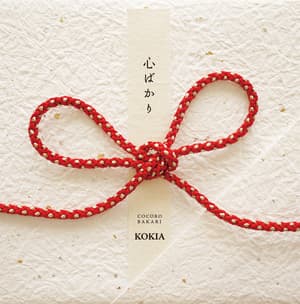 Kokoro Bakari (2CD)