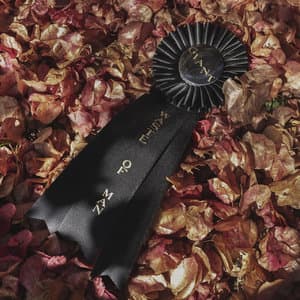 The Politics Of Lonely