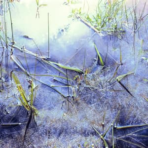 Dreams And Improvisations