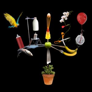 The Big Other [Hi-Res]