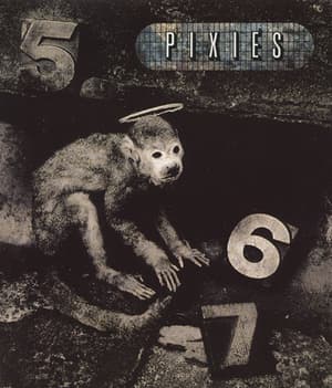 Monkey Gone To Heaven