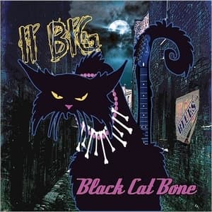 Black Cat Bone