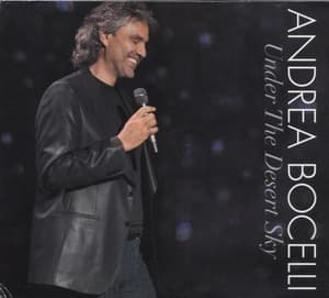 Under The Desert Sky