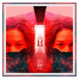 The Brazilian Gentleman