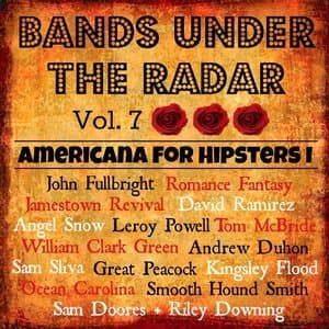 Bands Under The Radar, Vol. 7 Americana For Hipsters I