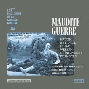 Maudite Guerre (les Musiciens Et La Grande Guerre, Vol. 22)