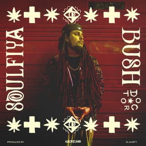 Bushdoctor (feat. El Dusty) EP