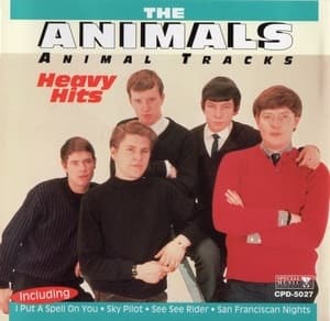 Animal Tracks: Heavy Hits