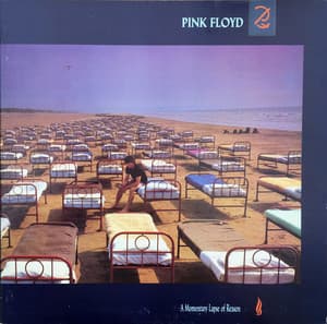 A Momentary Lapse Of Reason