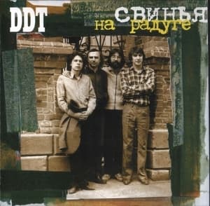 Свинья На Радуге