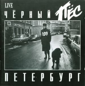 Черный Пес Петербург (CD2)