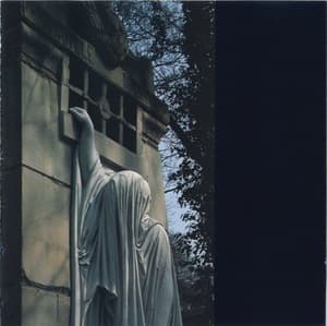 Within The Realm Of A Dying Sun