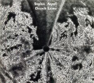 Marguerite D'or Pale