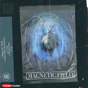 Magnetic Field