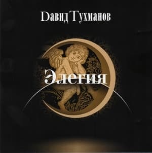 Давид Тухманов - Элегия