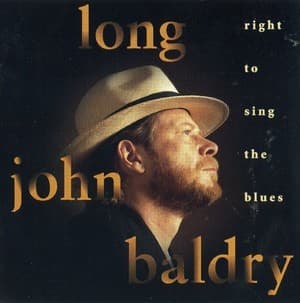 Right To Sing The Blues