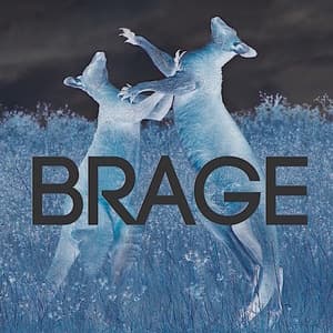 Brage