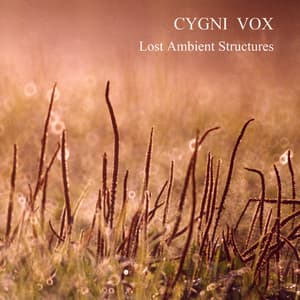 2017 Lost Ambient Structures