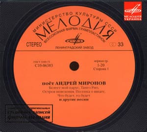 Поет Андрей Миронов