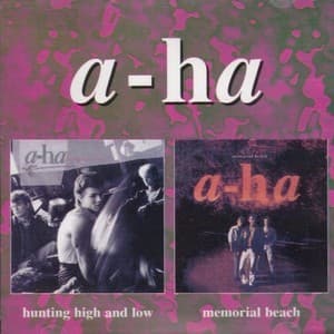 Hunting High & Low / Memorial Beach