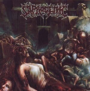 The Wet Sound Of Flesh On Concrete