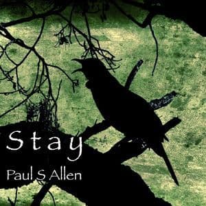 Stay