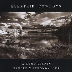 Elektrik Cowboys