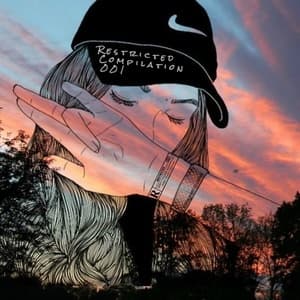 Restricted Compilation 001