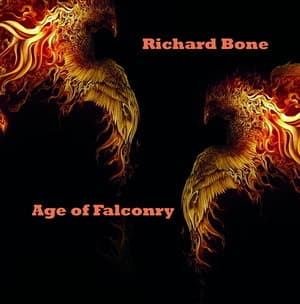 Age of Falconry