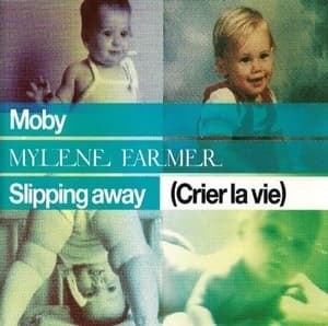 Slipping Away (Crier La Vie)