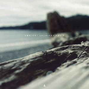 Ambient Archives Vol. 5