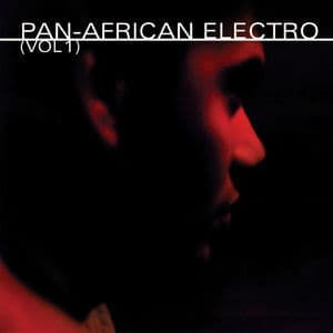 Pan-African Electro (vol. 1)